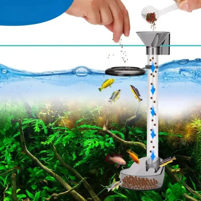 mangeoire-crevette-aquarium-et-poissons