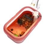 mini-chauffage-aquarium-tortue