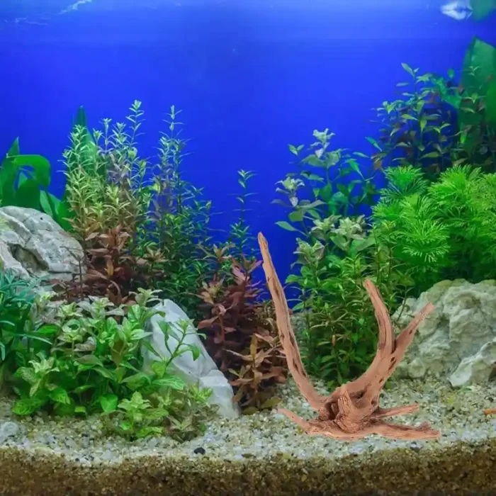 racine-aquarium-naturelle-nano-aquarium