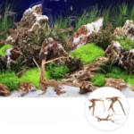 racines-aquarium-bois-naturelles-3-pieces