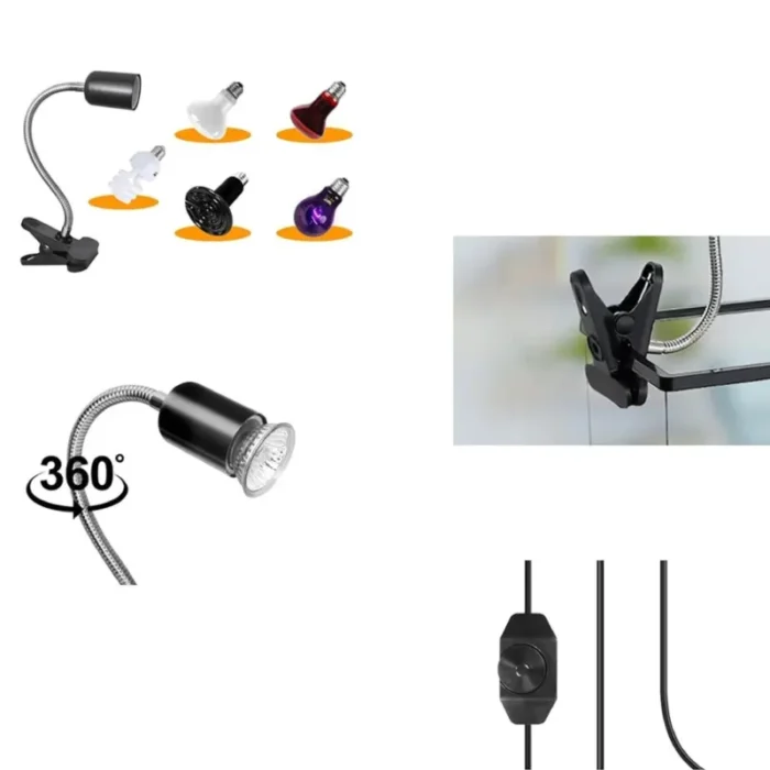 1 – 2025-09-29T113737.130