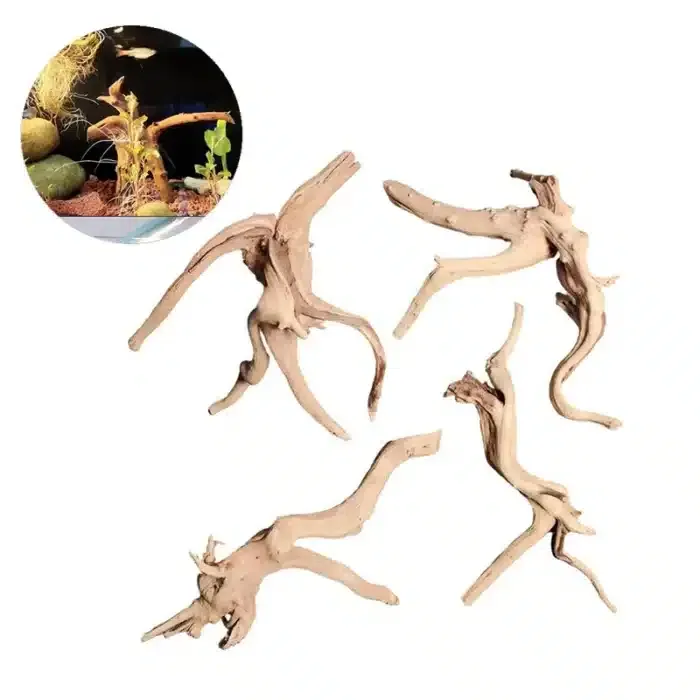 meilleur Bois flotté pour aquarium eau douce