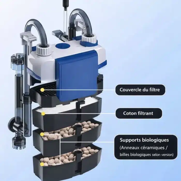 ChatGPT Image 3 févr. 2026, 15 h 25 min 37 s Cropped (2)