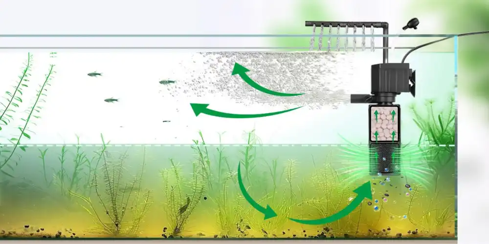 Quelle-pompe-pour-aquarium-200L-eau-claire