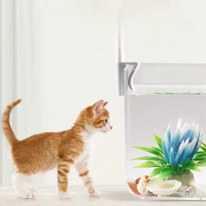 S5ef41796969c4a6cbf204f1ab47a9ca_cleanup (1)