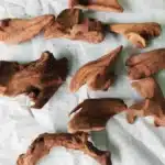 bois-flotté-aquarium-eau-douce