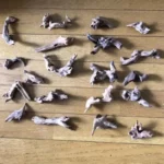 kit-bois-flotte-aquarium-naturel