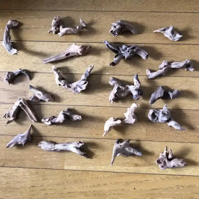 kit-bois-flotte-aquarium-naturel