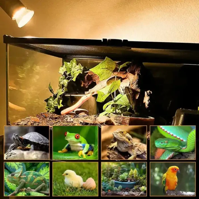 lampe-chauffante-terrarium-basse-consommation-reptile-50w