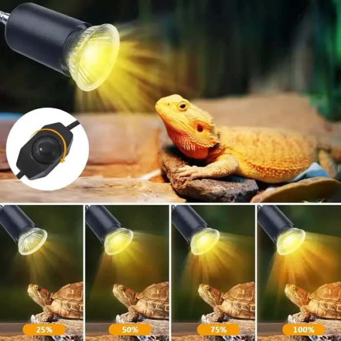lampe-chauffante-terrarium-basse-consommation-reptile-tortue