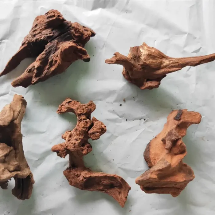 meilleur-bois-flotte-aquarium-eau-douce