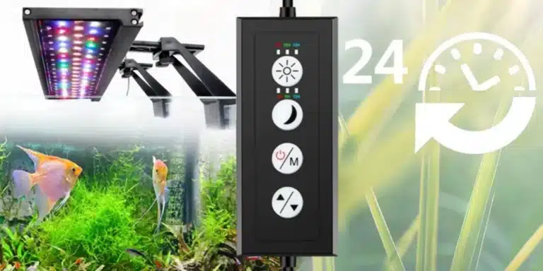 meilleur-eclairage-led-pour-aquarium-60l-planté