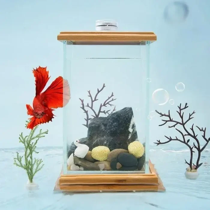 meilleur-mini-aquarium-combattant-3l-betta