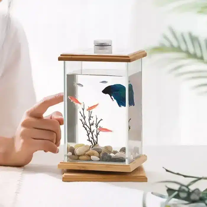 mini-aquarium-combattant-3l-carre