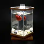 mini-aquarium-combattant-3l-led