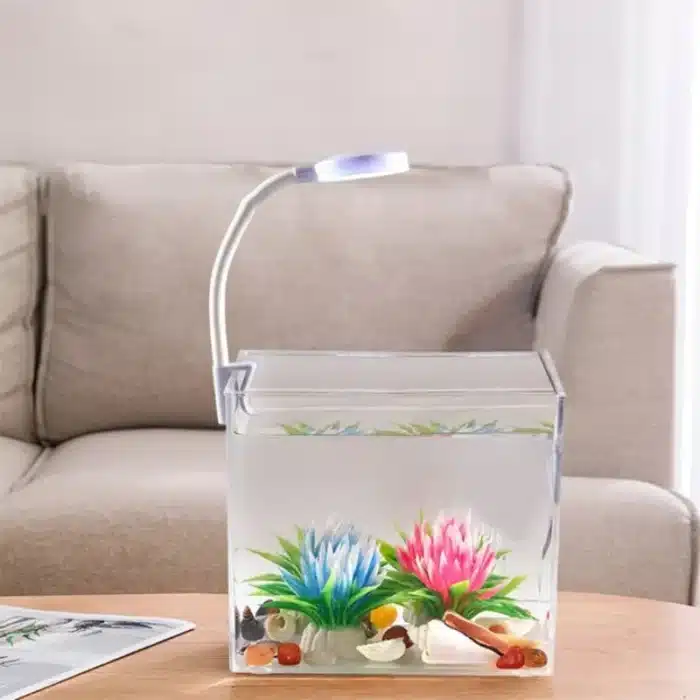 Mini Aquarium Combattant avec Lampe LED 2l