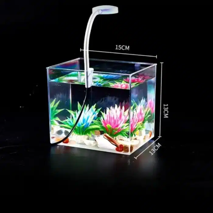 mini-aquarium-pour-combattant-2l