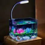 Mini Aquarium pour Combattant avec Lampe LED