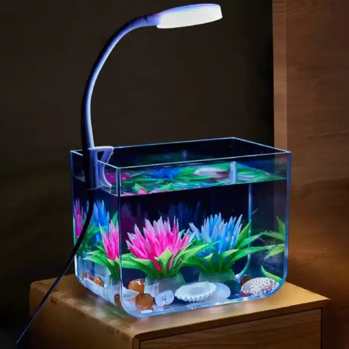 Mini Aquarium pour Combattant avec Lampe LED
