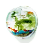 petit-aquarium-mural-vertical-betta
