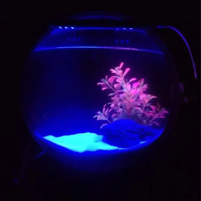petit-aquarium-mural-vertical-betta-led
