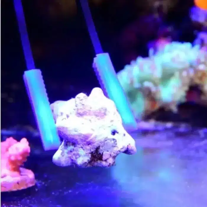 pince-a-coraux-droite-et-incurvee