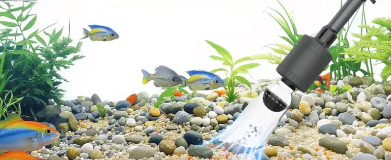 quel aspirateur aquarium 300 litres choisir