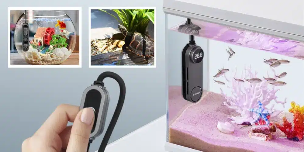 quel-chauffage-faut-il-pour-aquarium-de-20-litres-meilleurs-astuces