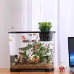 10l-nano-aquarium-avec-couvercle