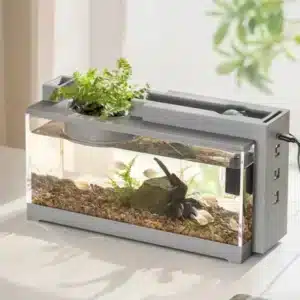 7L Aquarium avec Chauffage Intégré