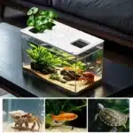 8l-aquarium-petit-format-en-plastique