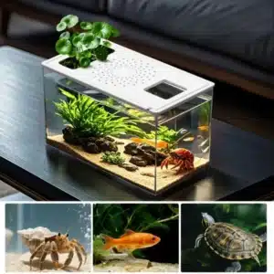 8l-aquarium-petit-format-en-plastique
