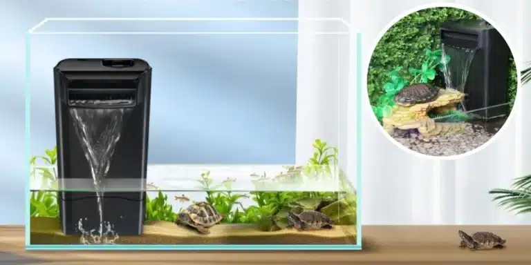 Aquarium-tortue-quel-filtre-avec-pompe