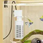 S03b4bafa2803473588bcfd2851b0414_cleanup copie (2)