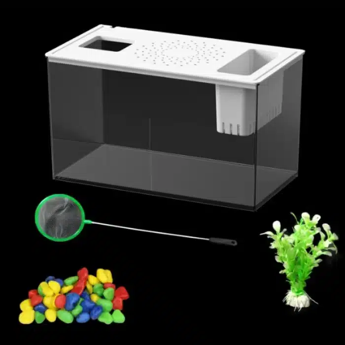 S27079f2138614ea9954c89b6b6b8f8e_cleanup copie