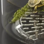 S4670f2ea865c4ddf8449efce3371cb1 (2) copie