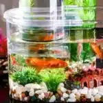 Sd6900aa2362e4f63aea39e4173eb9d9 (1)