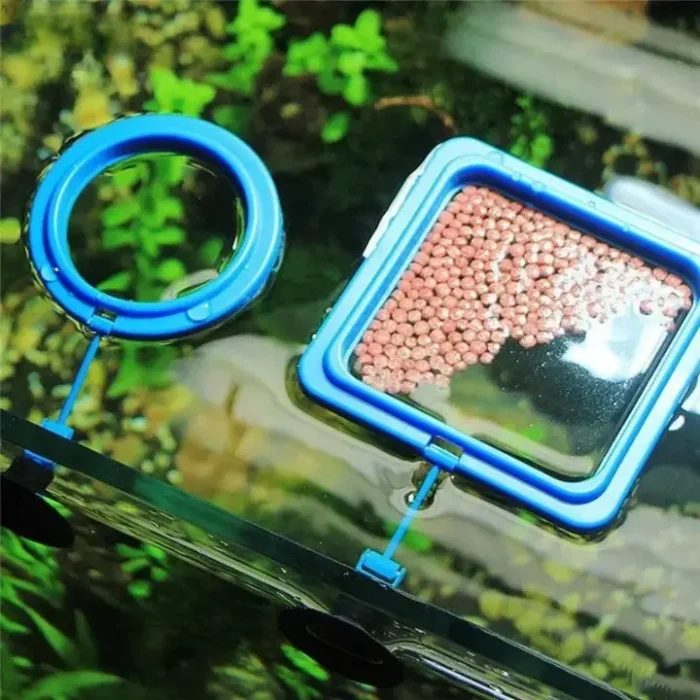 Anneau d'Alimentation Poisson Flottant à ventouse