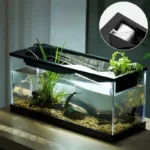 aquarium-10l-avec-pompe-et-couvercle