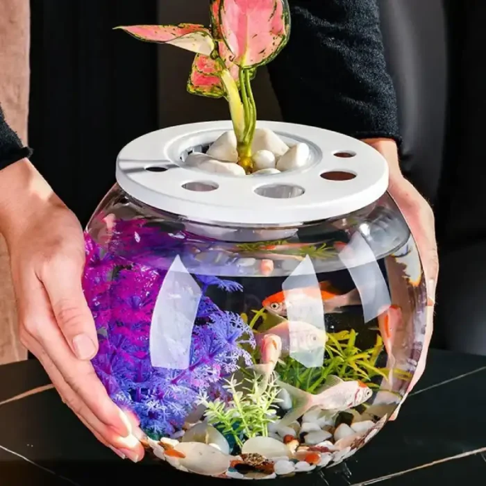 aquarium-boule-en-plastique-6l-avec-combattant