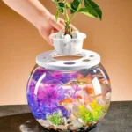 aquarium-boule-en-plastique-6l-avec-couvercle