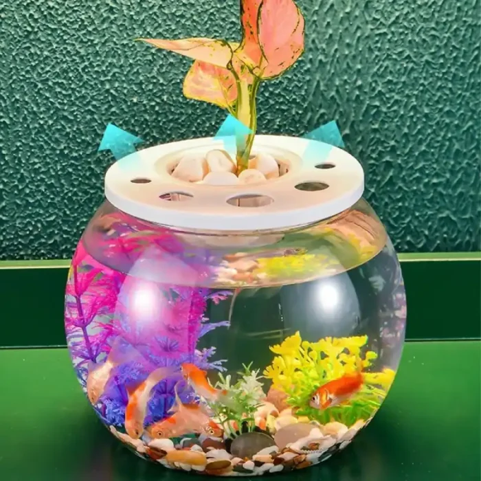 aquarium-boule-en-plastique-6l-pour-plante