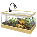 Aquarium en Verre Rectangulaire de 20L avec Cadre en bois