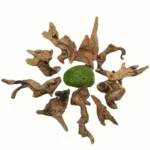 bois-flottant-aquarium-paysager-10-15-cm-