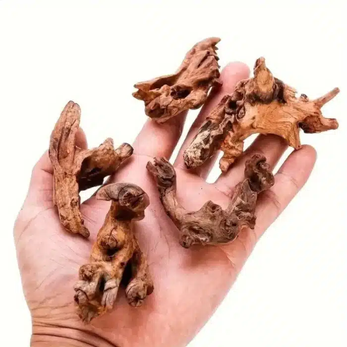 bois-flottant-aquarium-paysager