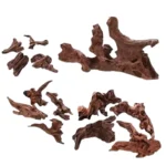 bois-flottant-aquarium-paysager-poissons