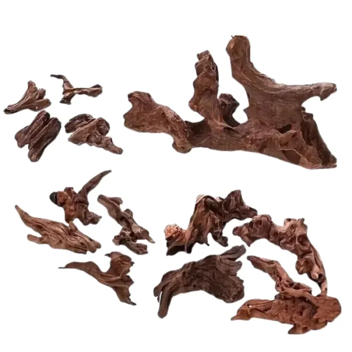 bois-flottant-aquarium-paysager-poissons