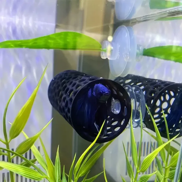 cachette-pour-betta-tunnel-aquarium-plastique