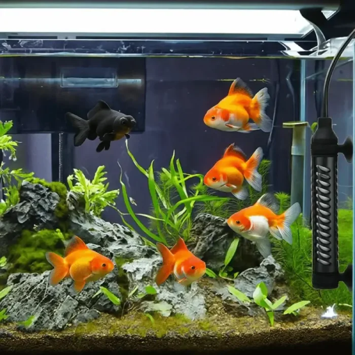 chauffage-aquarium-nano-30l-eau-douce