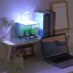 cube-nano-aquarium-5l-pour-enfant-avec-éclairage